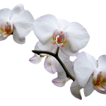 026