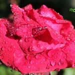 Автор снимков: Photoimp.ru